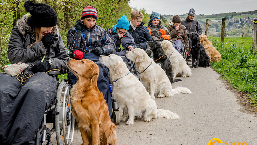 ISINGERMERZ, Wiesbaden, soziales Engagement, Spendenaktion, VITA Assistenzhunde