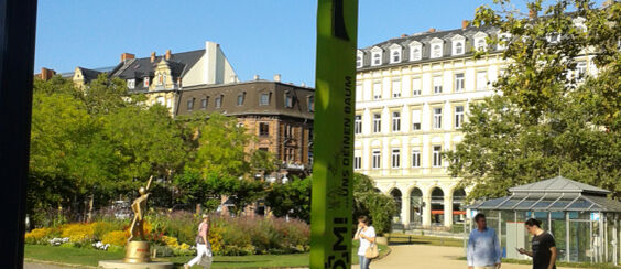 Zoom, Wiesbaden Stiftung, Isingermerz, Baumsponsoring, Baumpflanzen